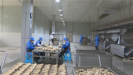 重庆清水湾食品有限公司:发展“鹅”业全产业链开发 壮大企业助农增收